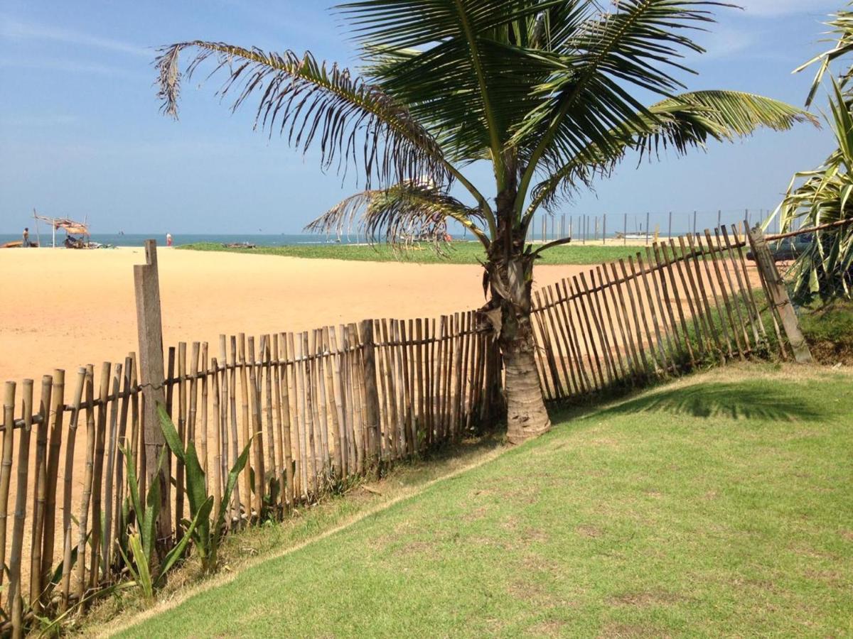 Tms Beach House Negombo Exteriör bild